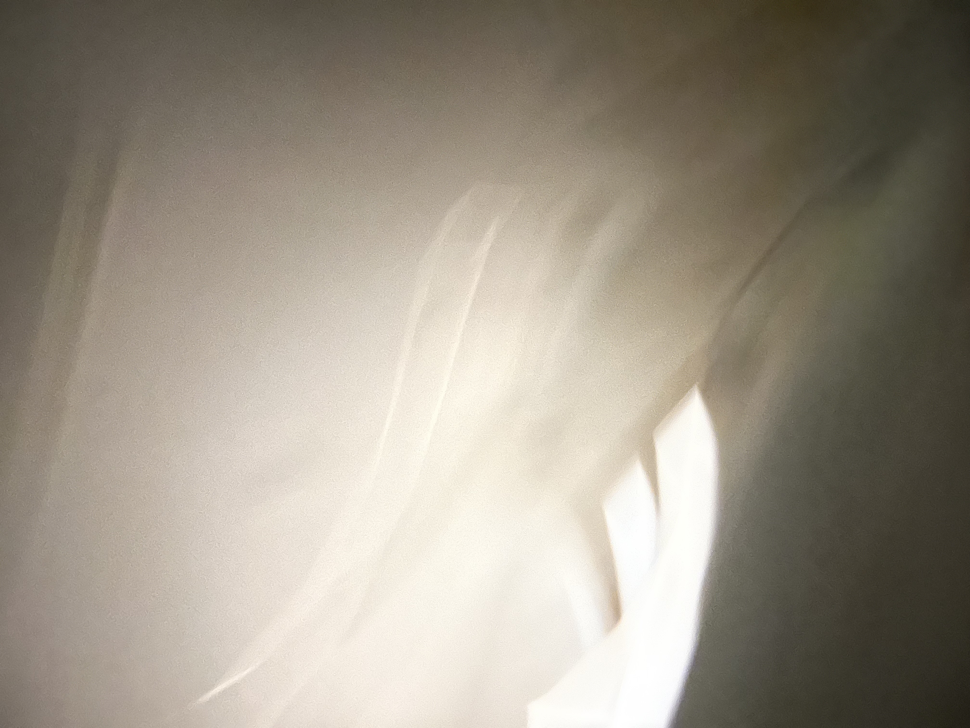 愛に理由はあるのか。