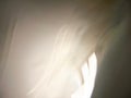 愛に理由はあるのか。