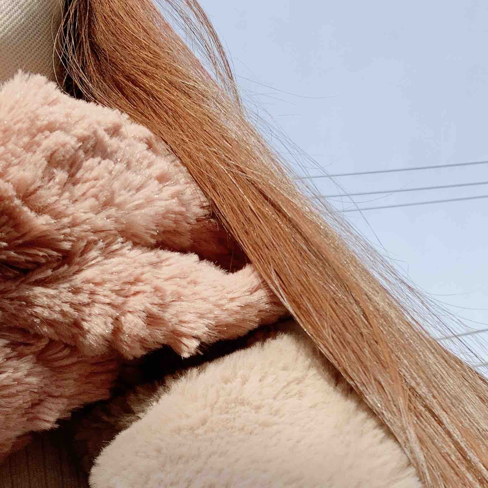 にゃんころもち