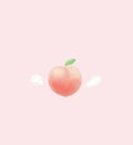 ꒰ঌPeach໒꒱