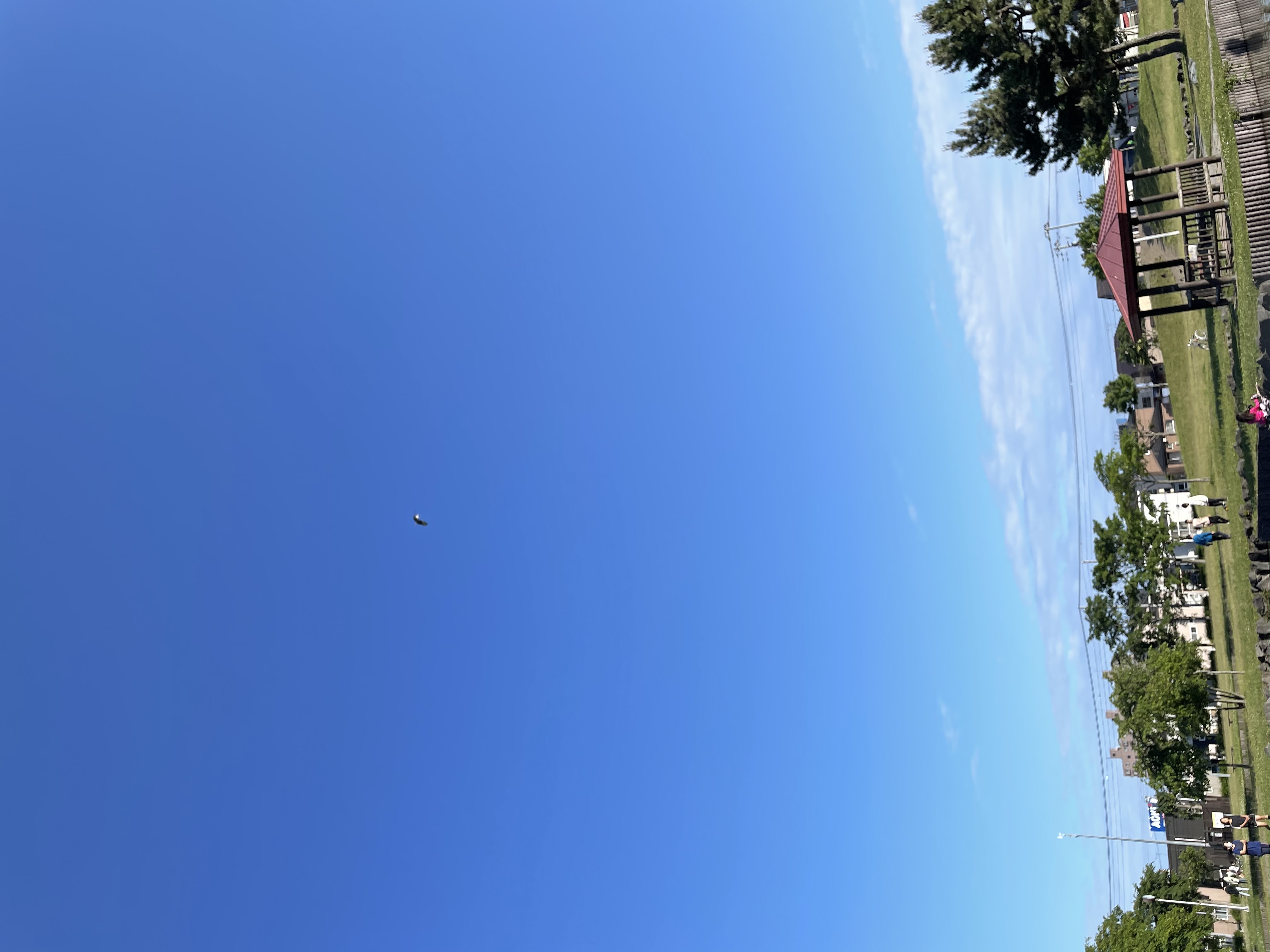 カナ　フォロバ100