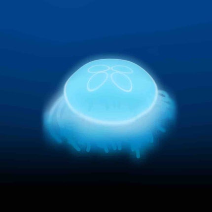 海月🪼