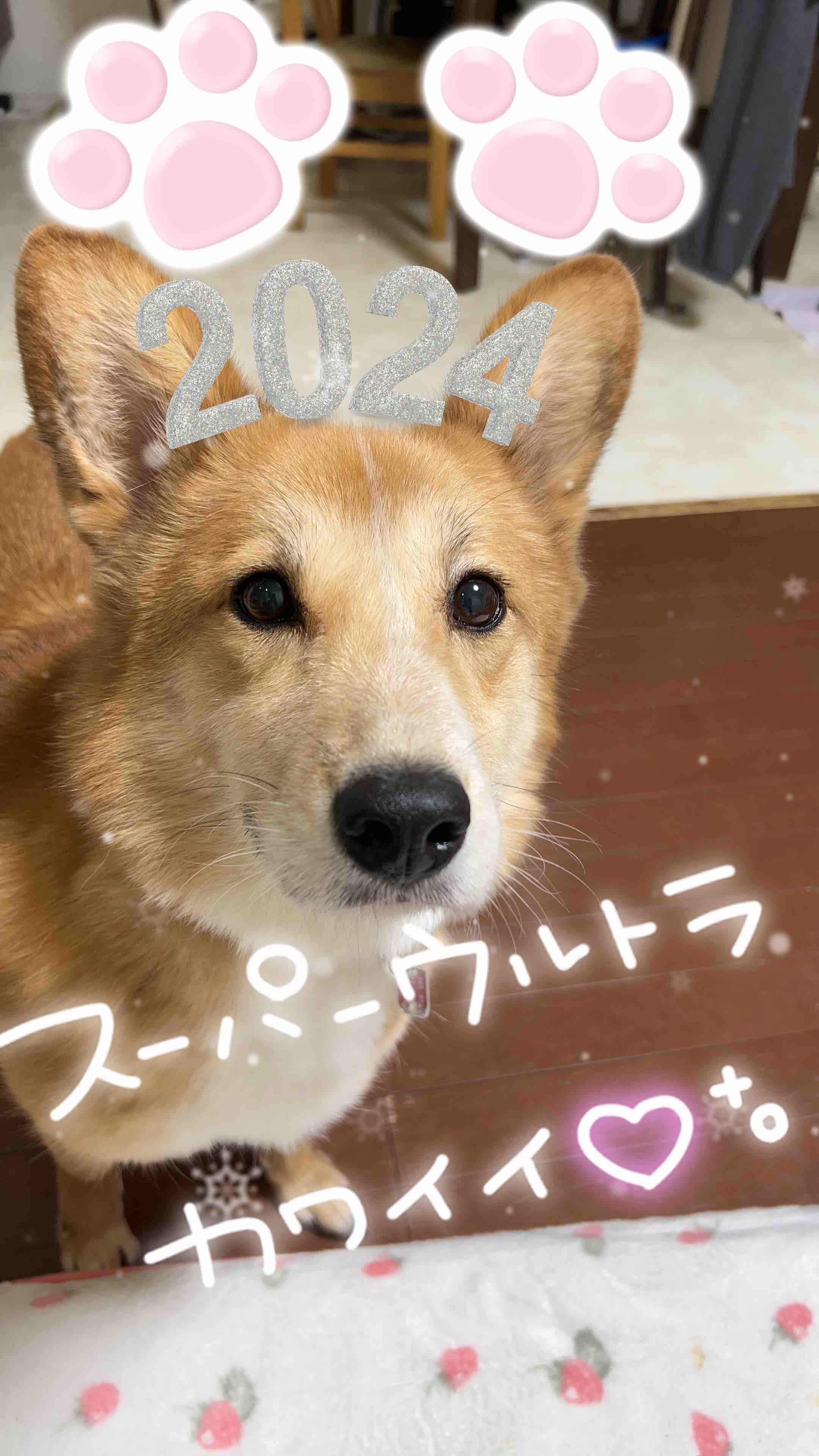 🐐( '-'  🐐)ﾐｵﾁｬﾝ