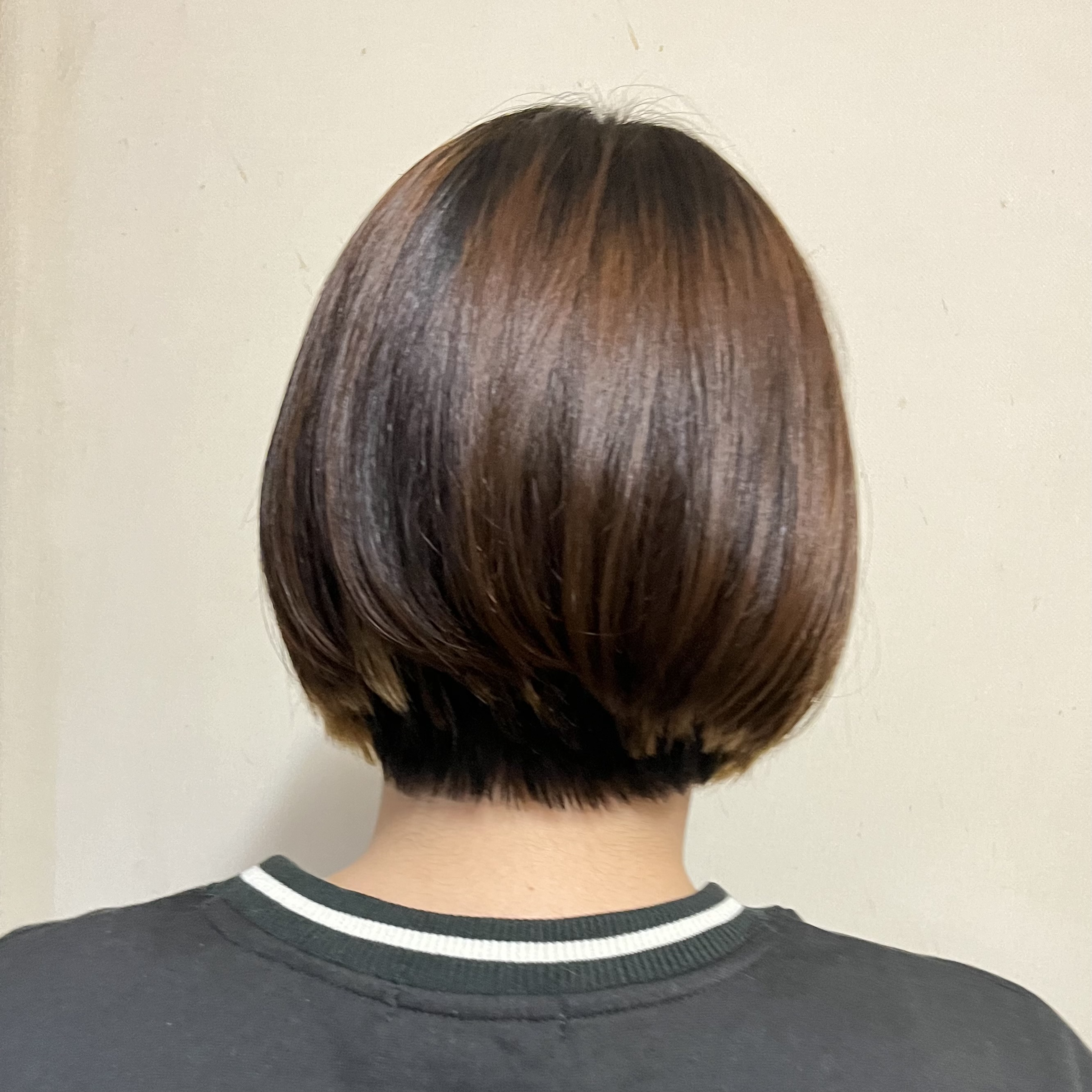 Sara|栃木県パーソナルカラーアナリスト💐