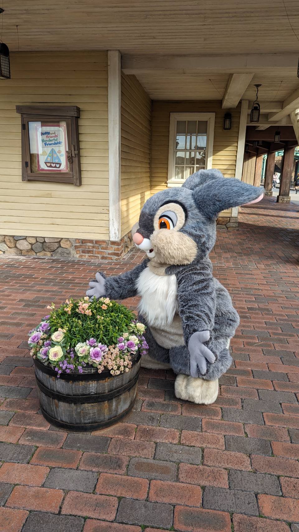 はるな@フォロバ100