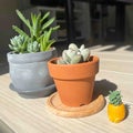 さきち