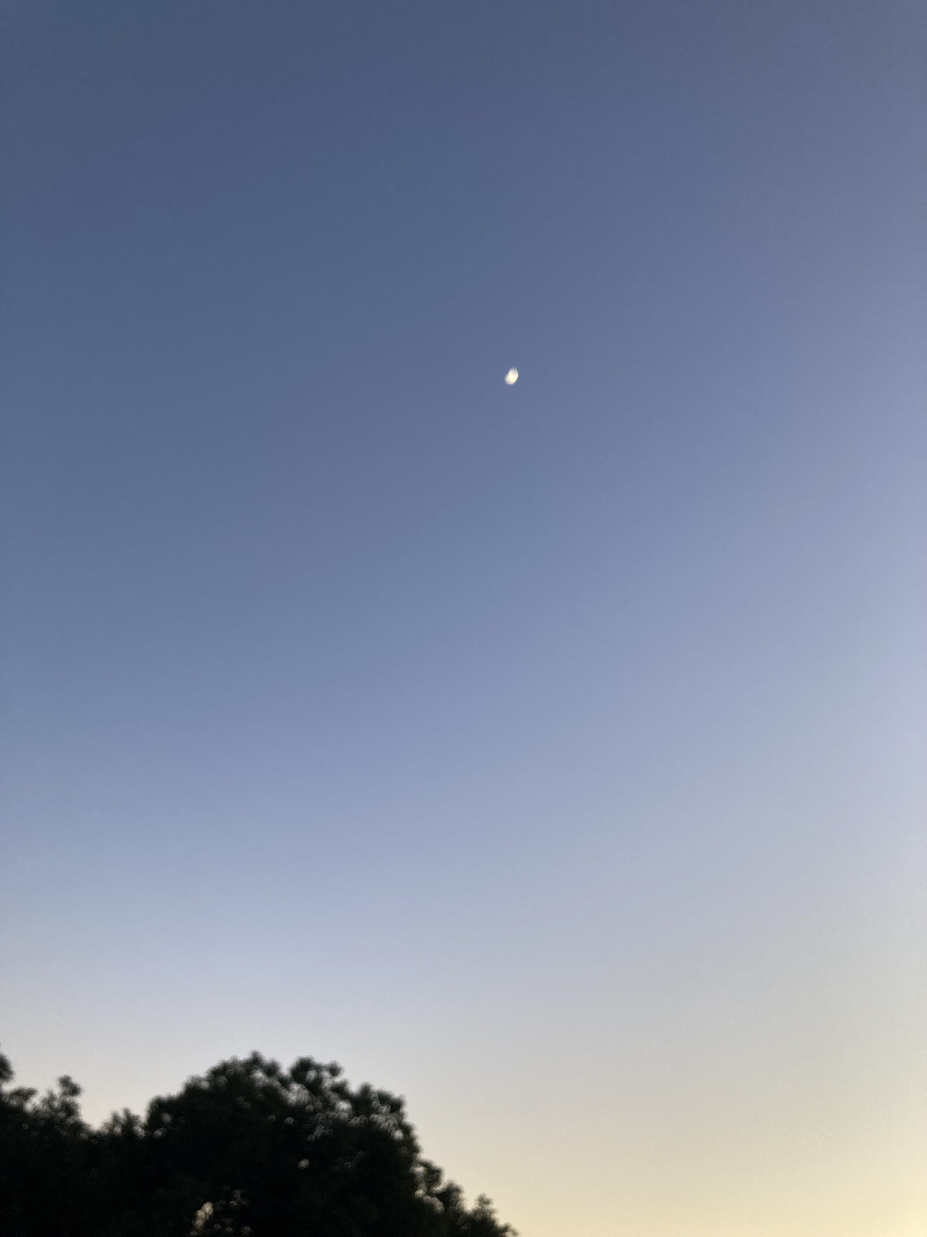 メイクショシンシャ