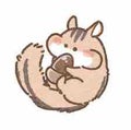 ゆかりす🐿️