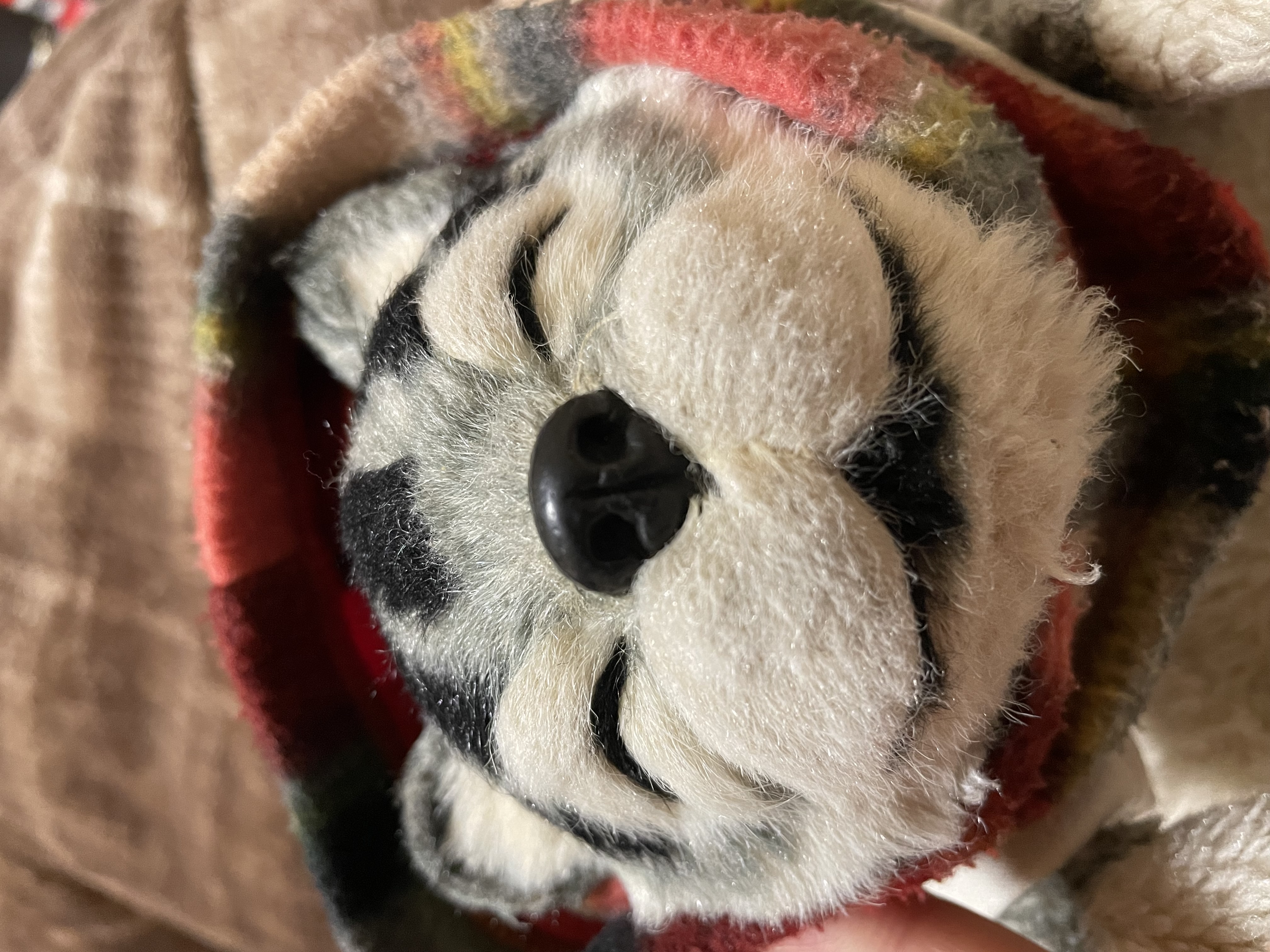 りょう@備忘録用に再開