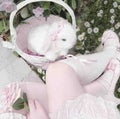 優 蘭 雫𓂃 𓈒𓏸
