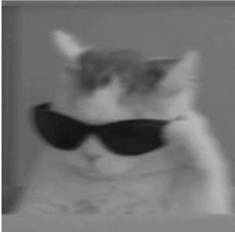 K-POPだいちゅき(⁠ ⁠ꈍ⁠ᴗ⁠ꈍ⁠)フォロバ100