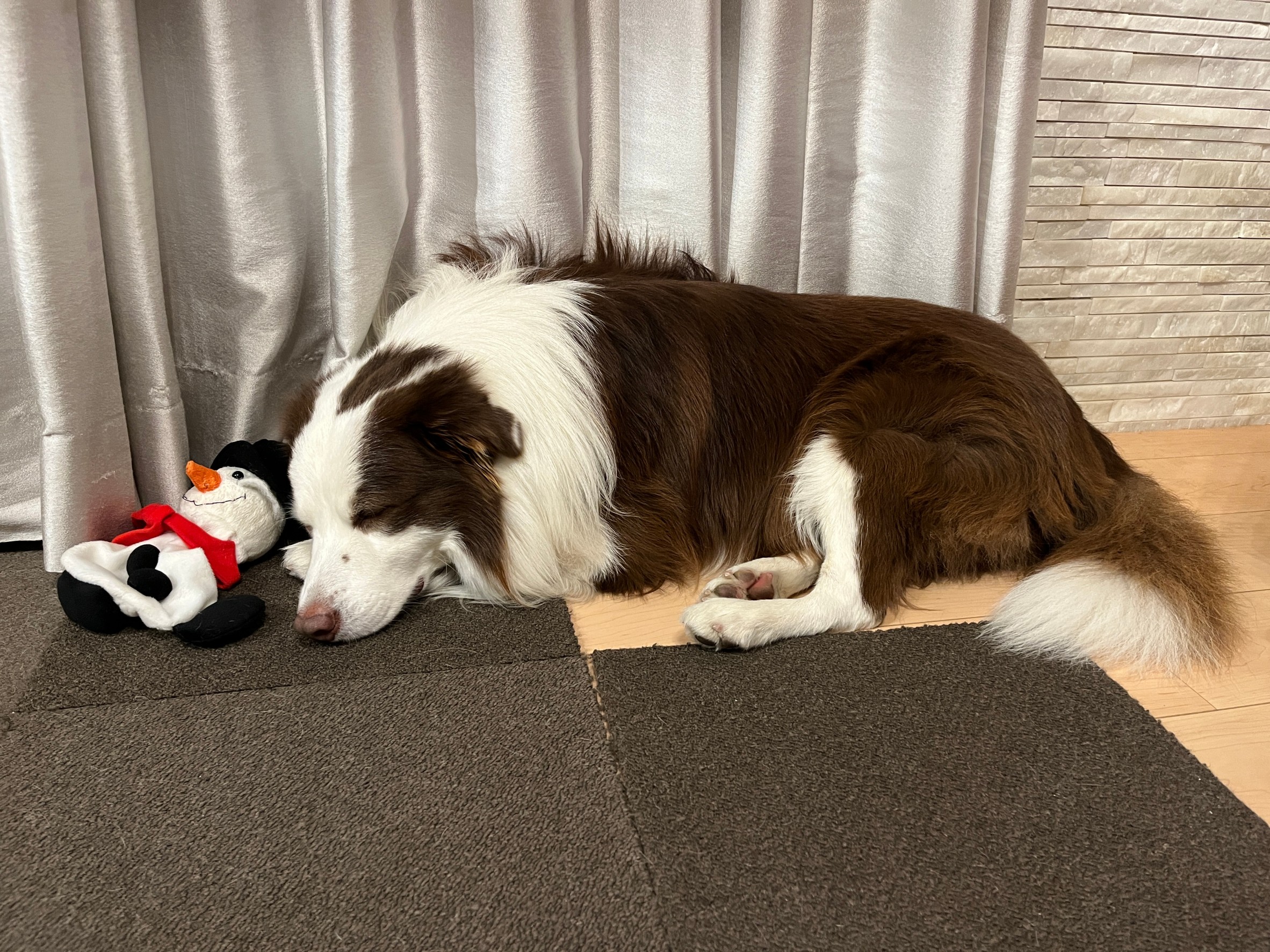 コスメ大好きばいきんまん@フォロバ100