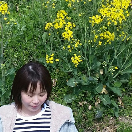 てらまー