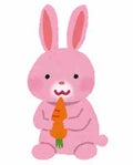 うさぎのコスメちゃん