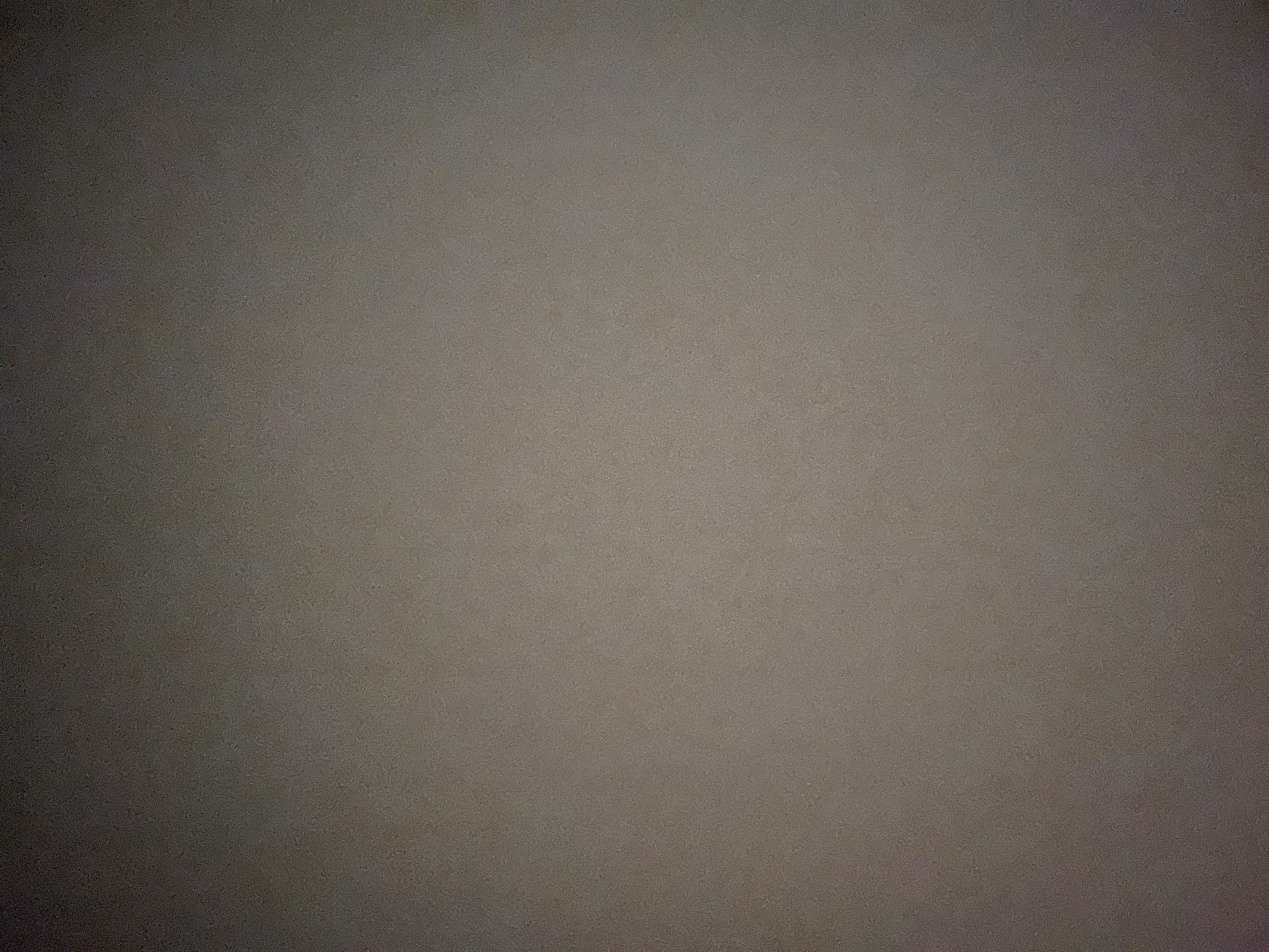 おもちフォロバ100%