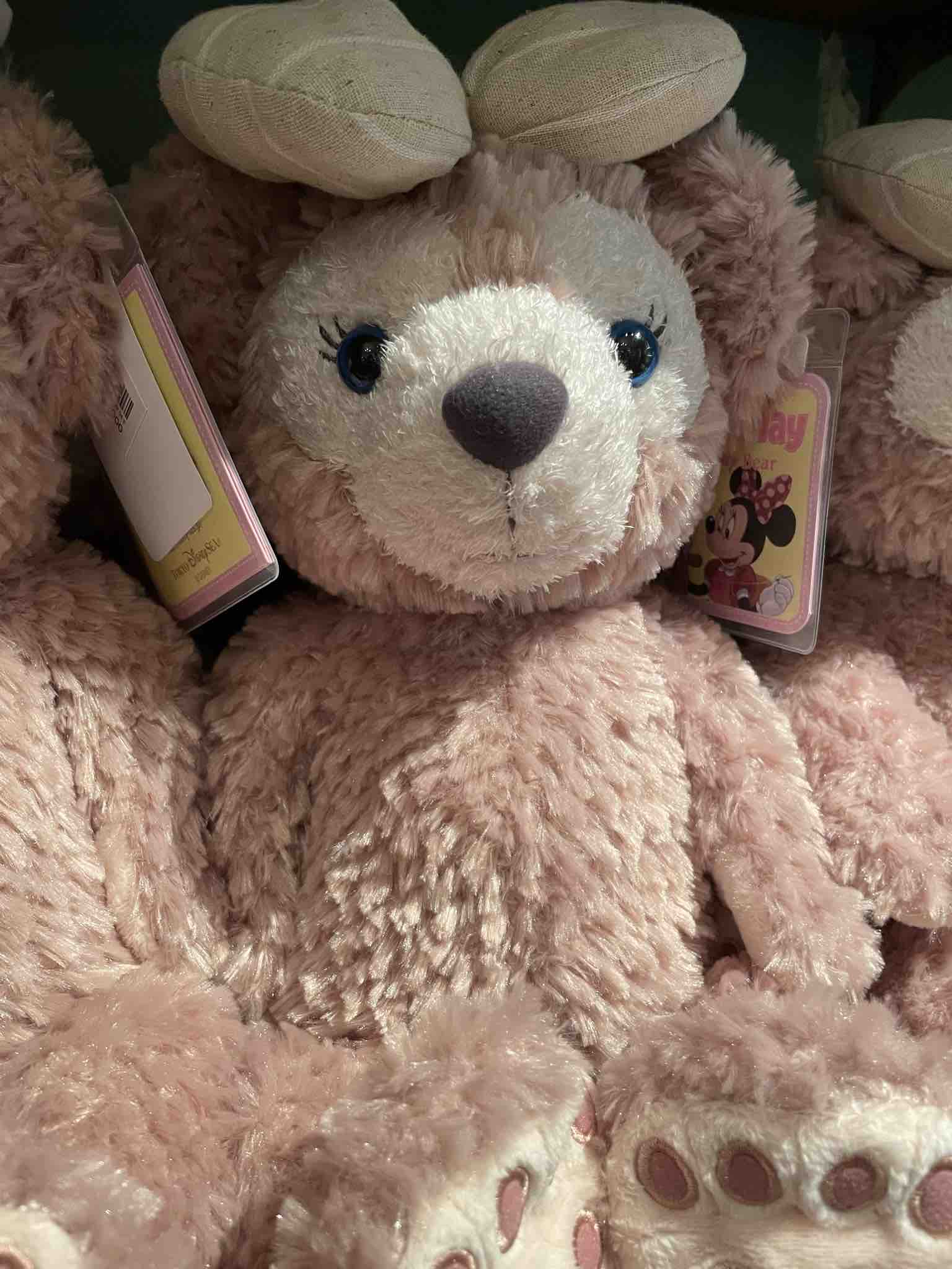 𝓡𝓲𝓻𝓲🧸🐚‎🤍