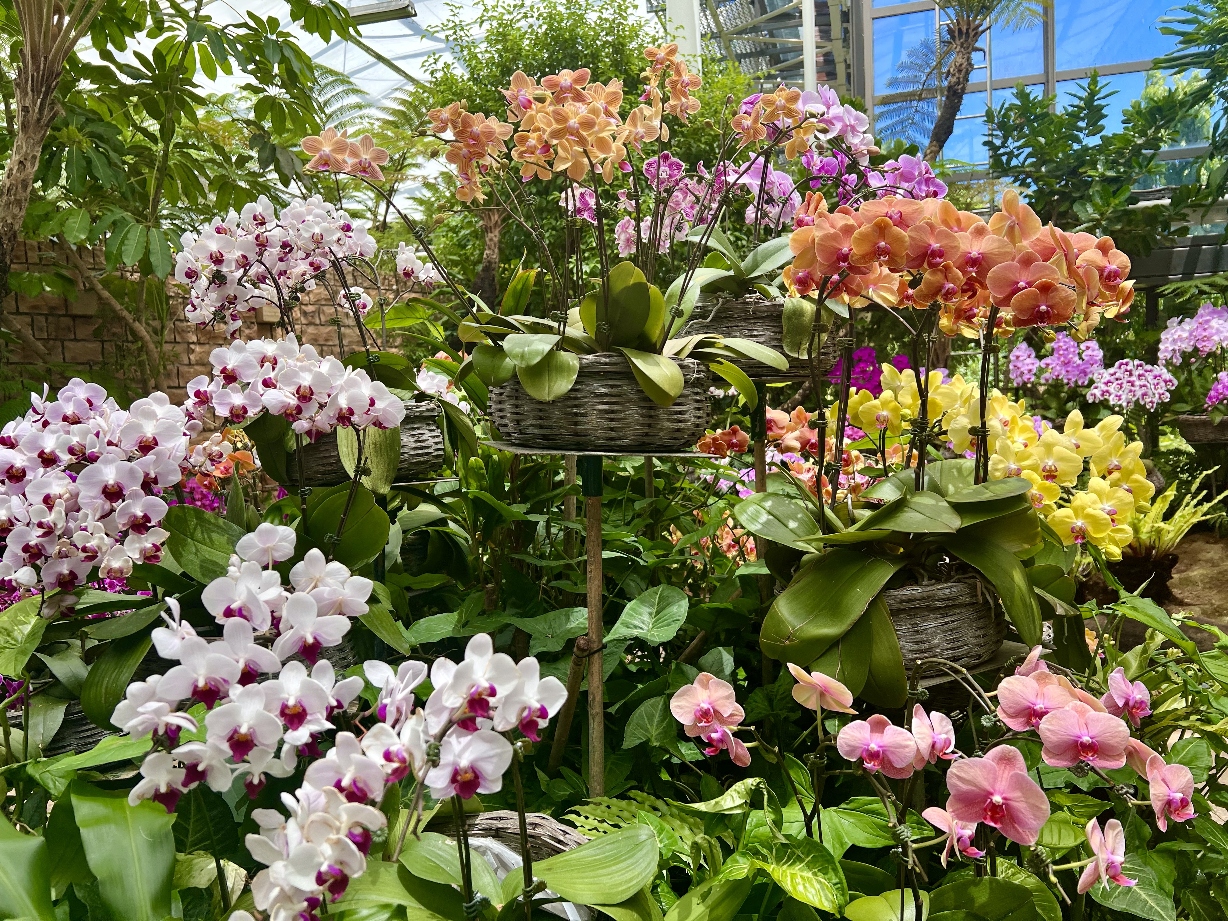 韓国コスメ敏感肌