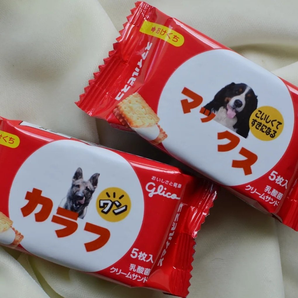 まぴねーず@フォロバ100