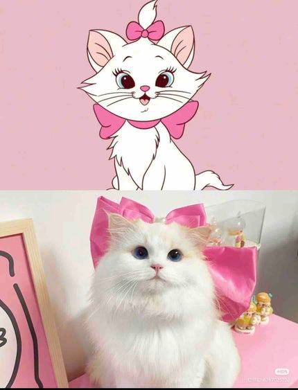 aaa