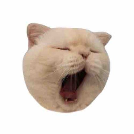 おかゆ