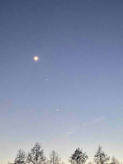 fantastic_sounds_yo5