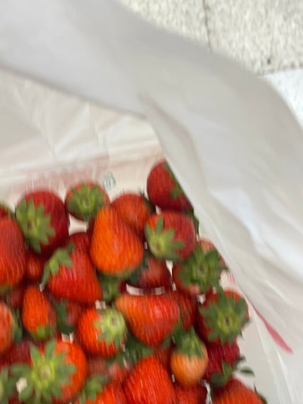 香・フォロバ100