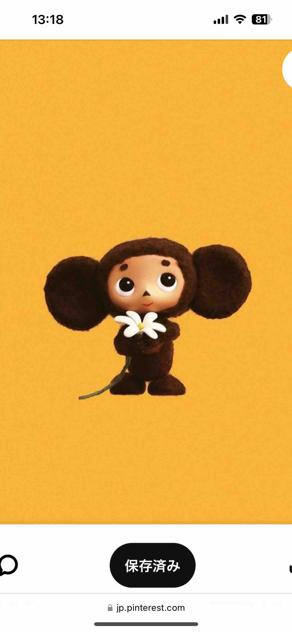 りりこ🌼フォロバ100　