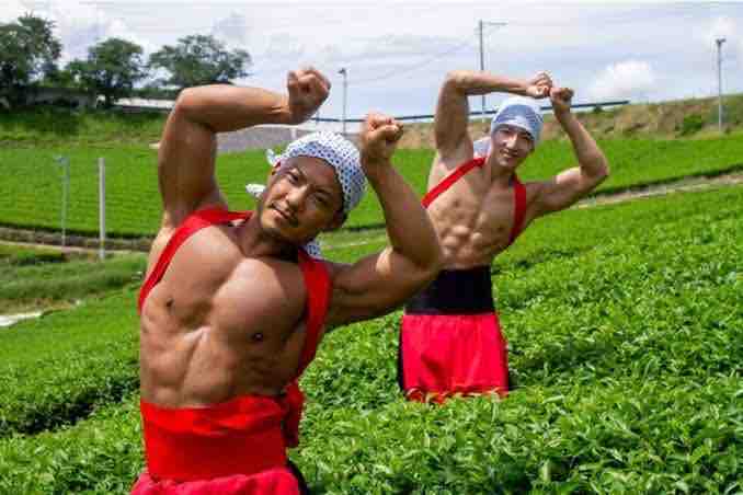 うちで飼ってるうさぎ