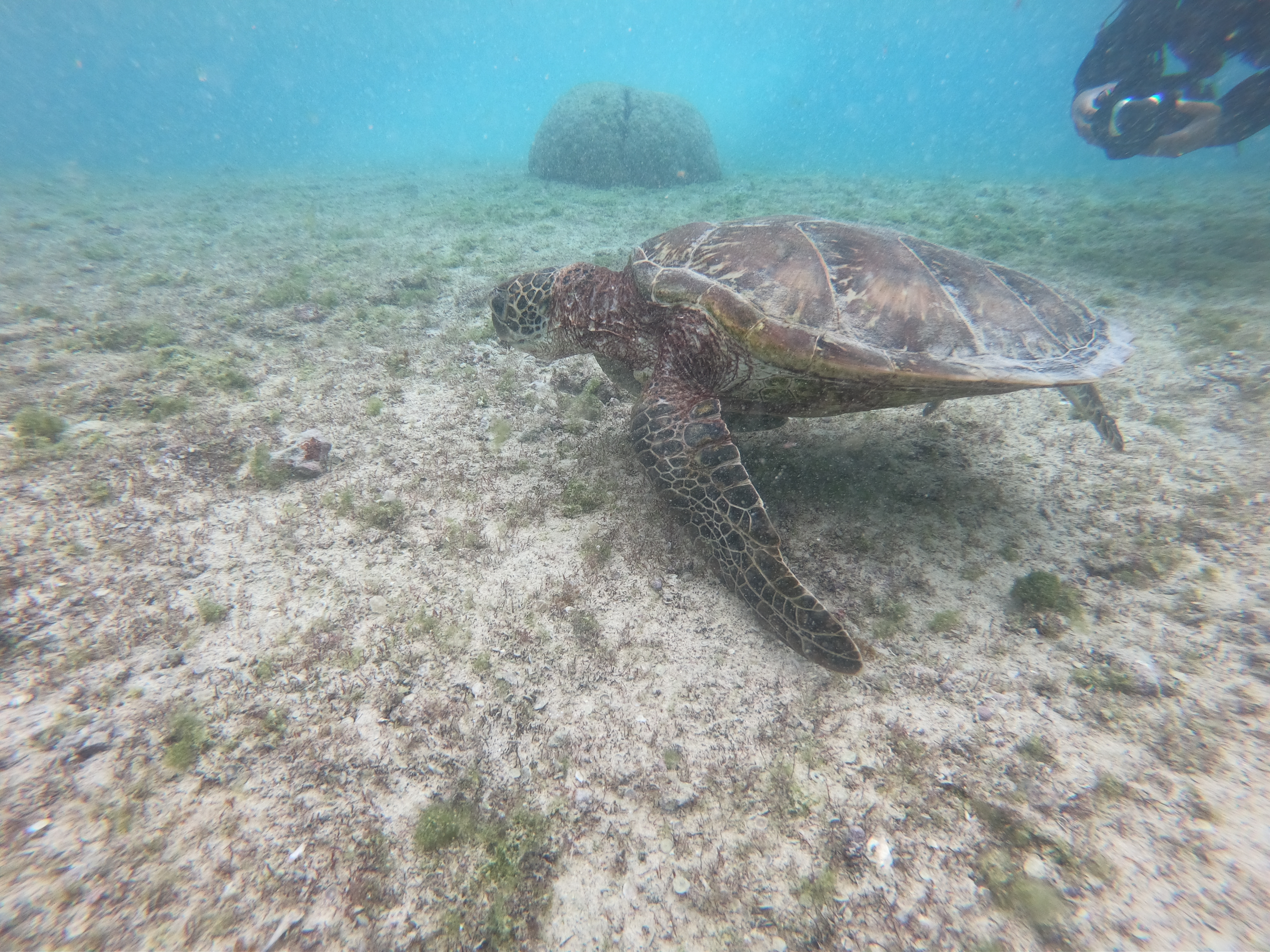 美容のみっちゃん