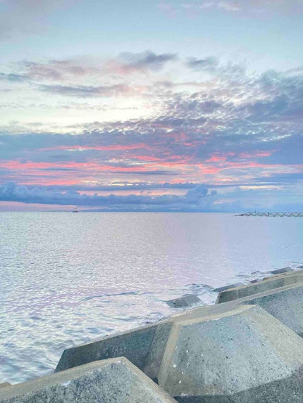 たむ@フォロバします