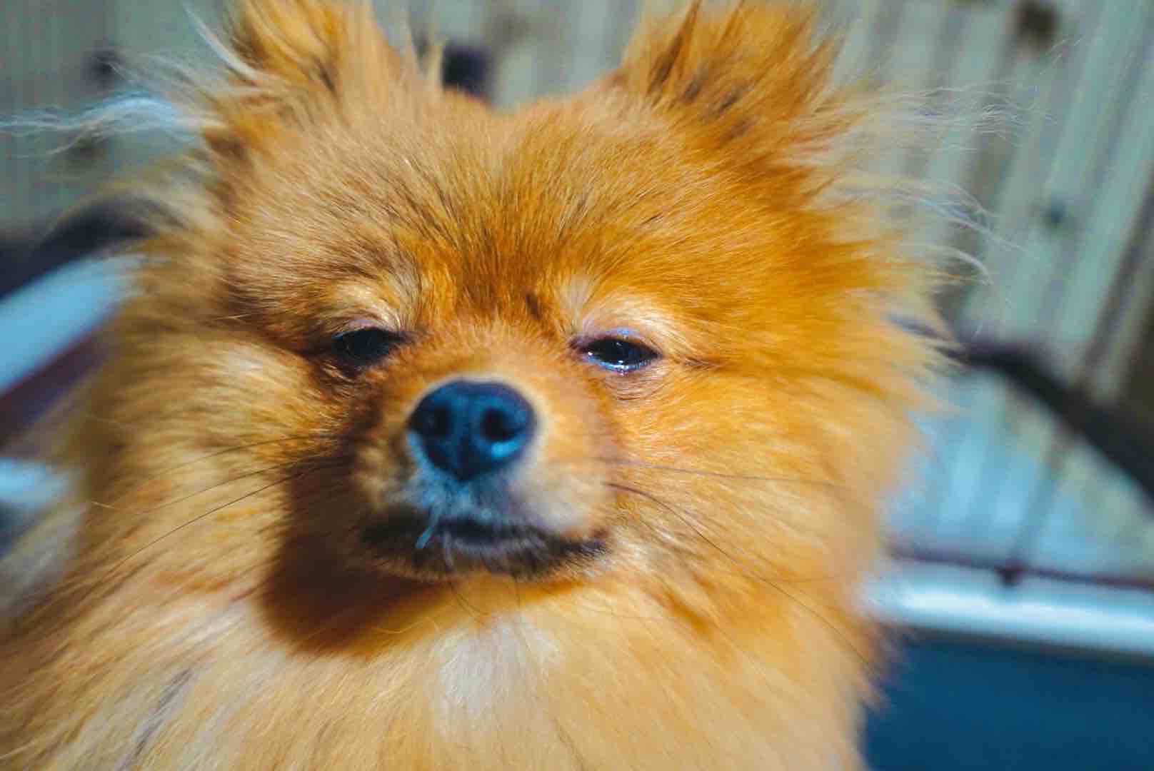 クラ(˘꒳˘)☪︎⋆｡˚✩