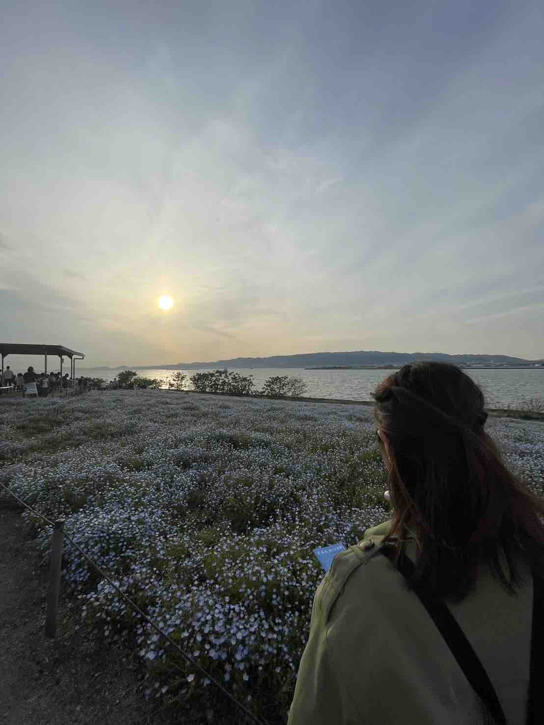 mayu♡フォロバ100