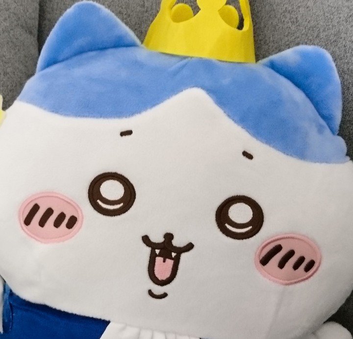 はれ  ﾌｫﾛﾊﾞ100