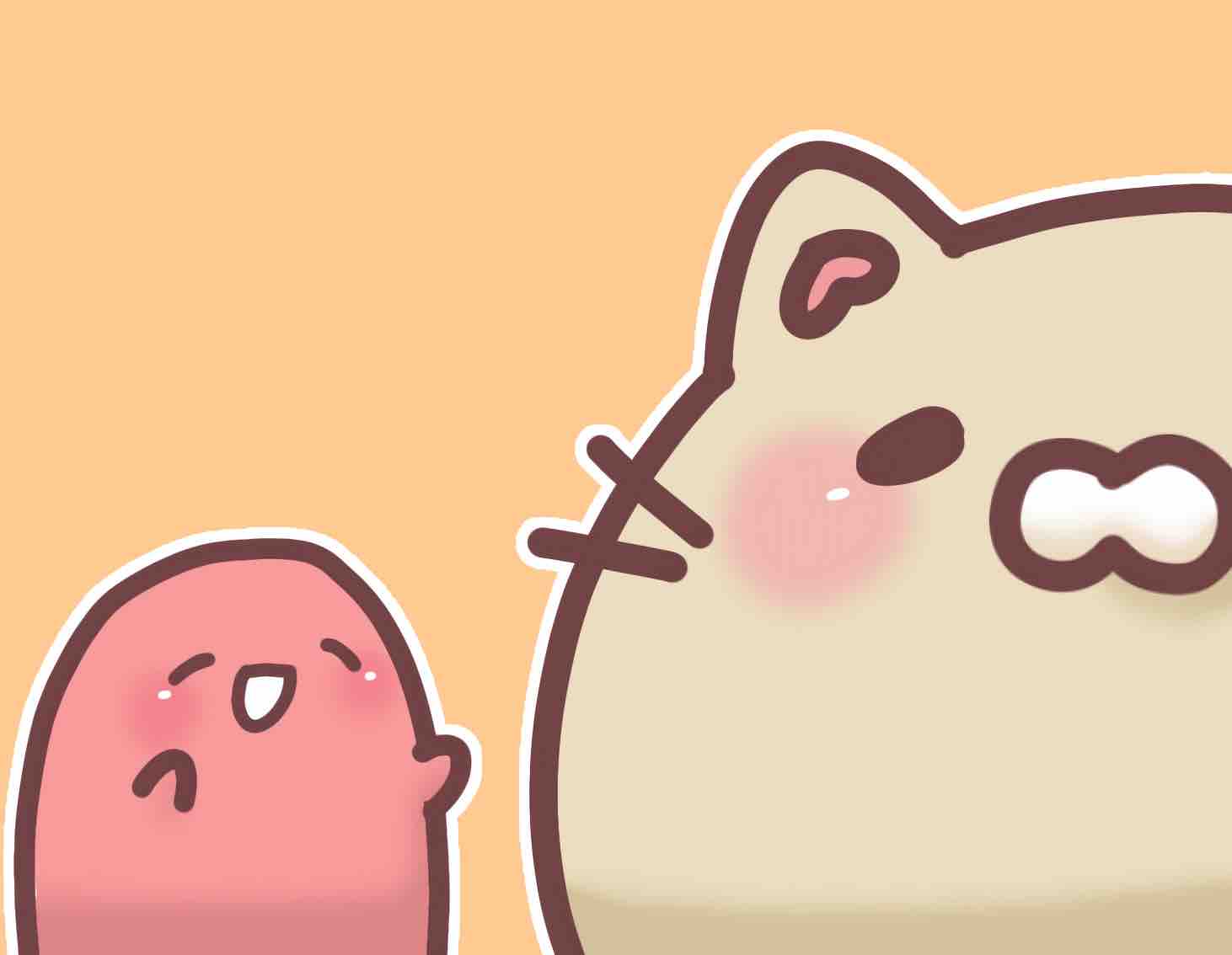 ど初心者まる。