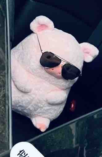 fantastic_rouge_mfk9