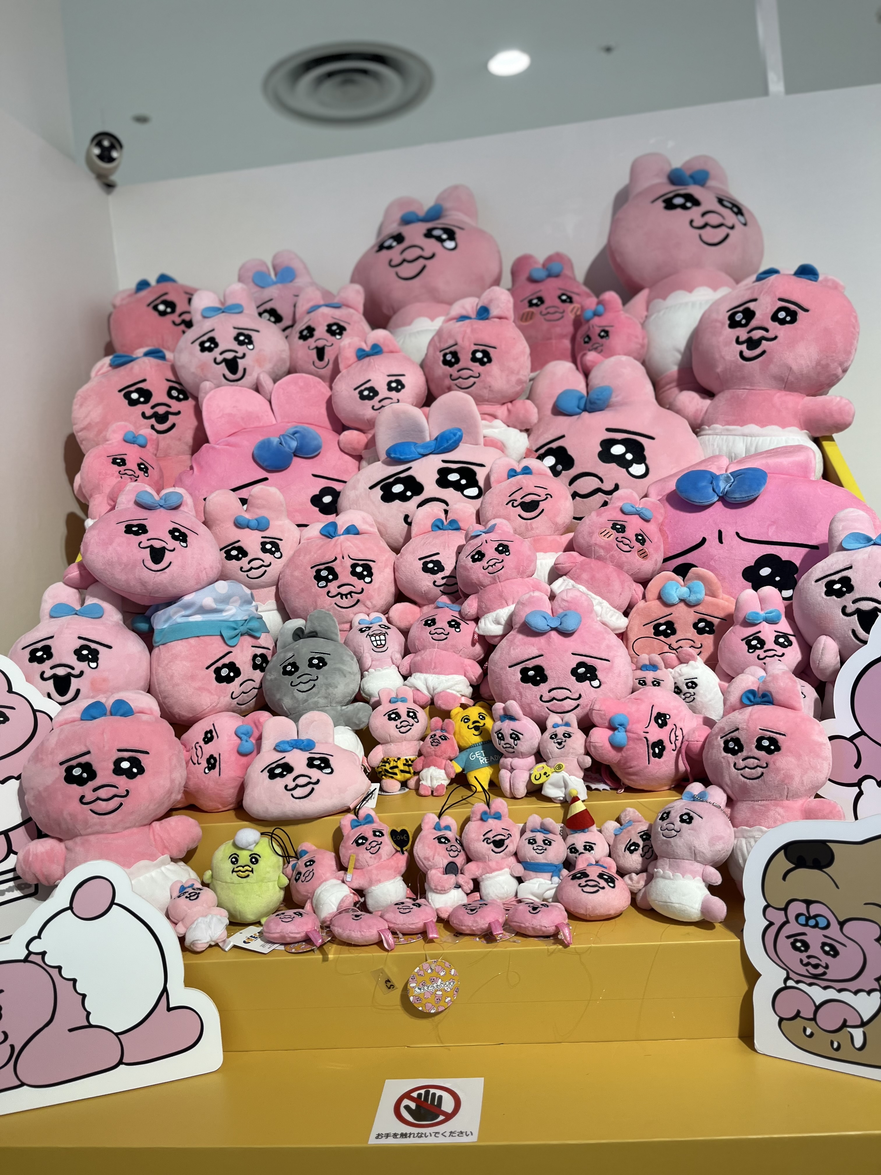 フォロバ100パンダ🐼