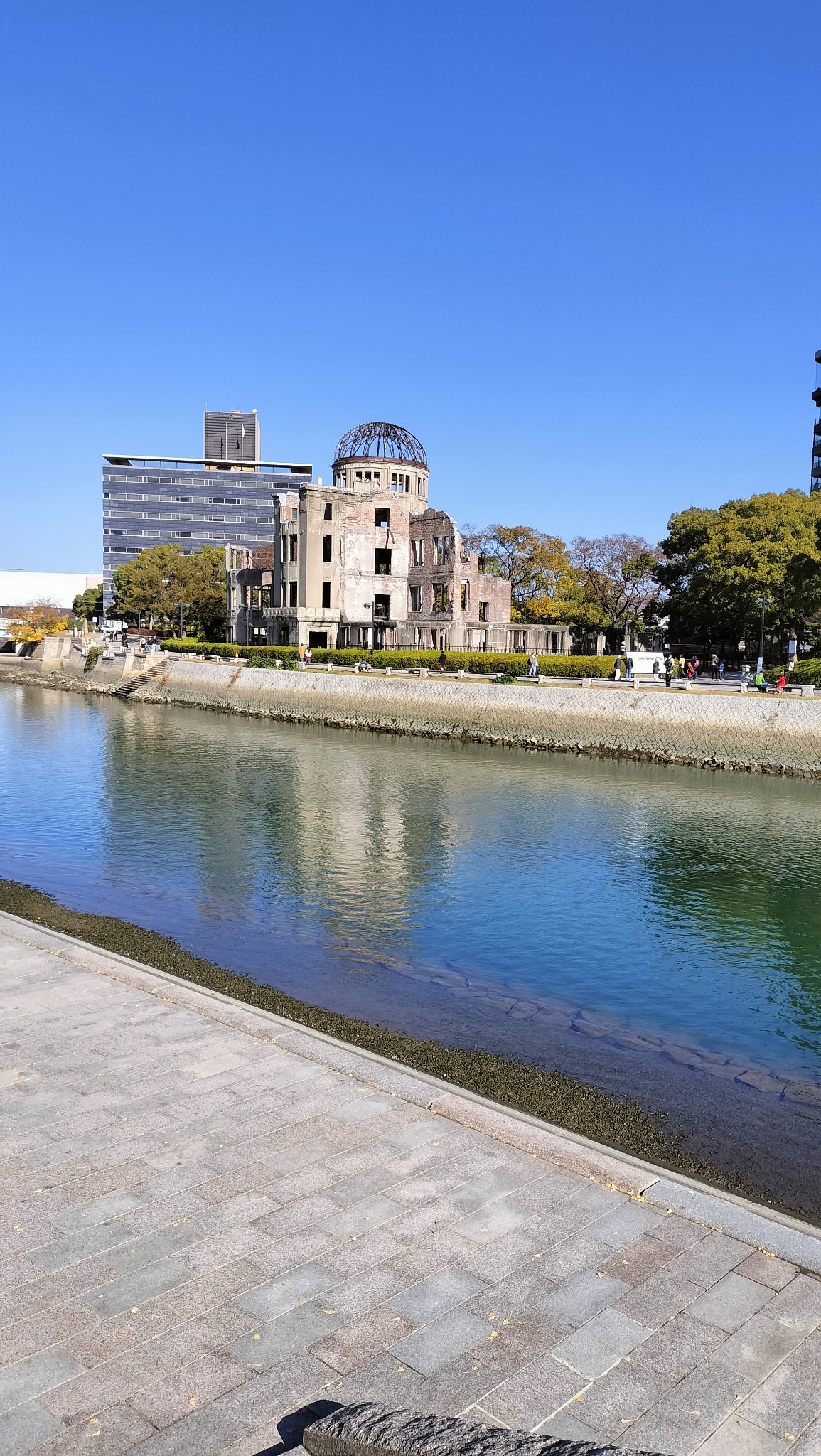 もちもちうさぎ