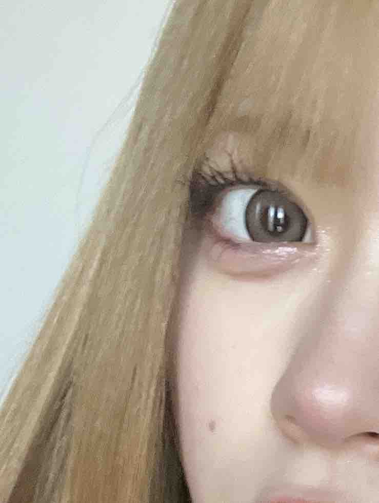 ໒꒱ 林檎 ໒꒱