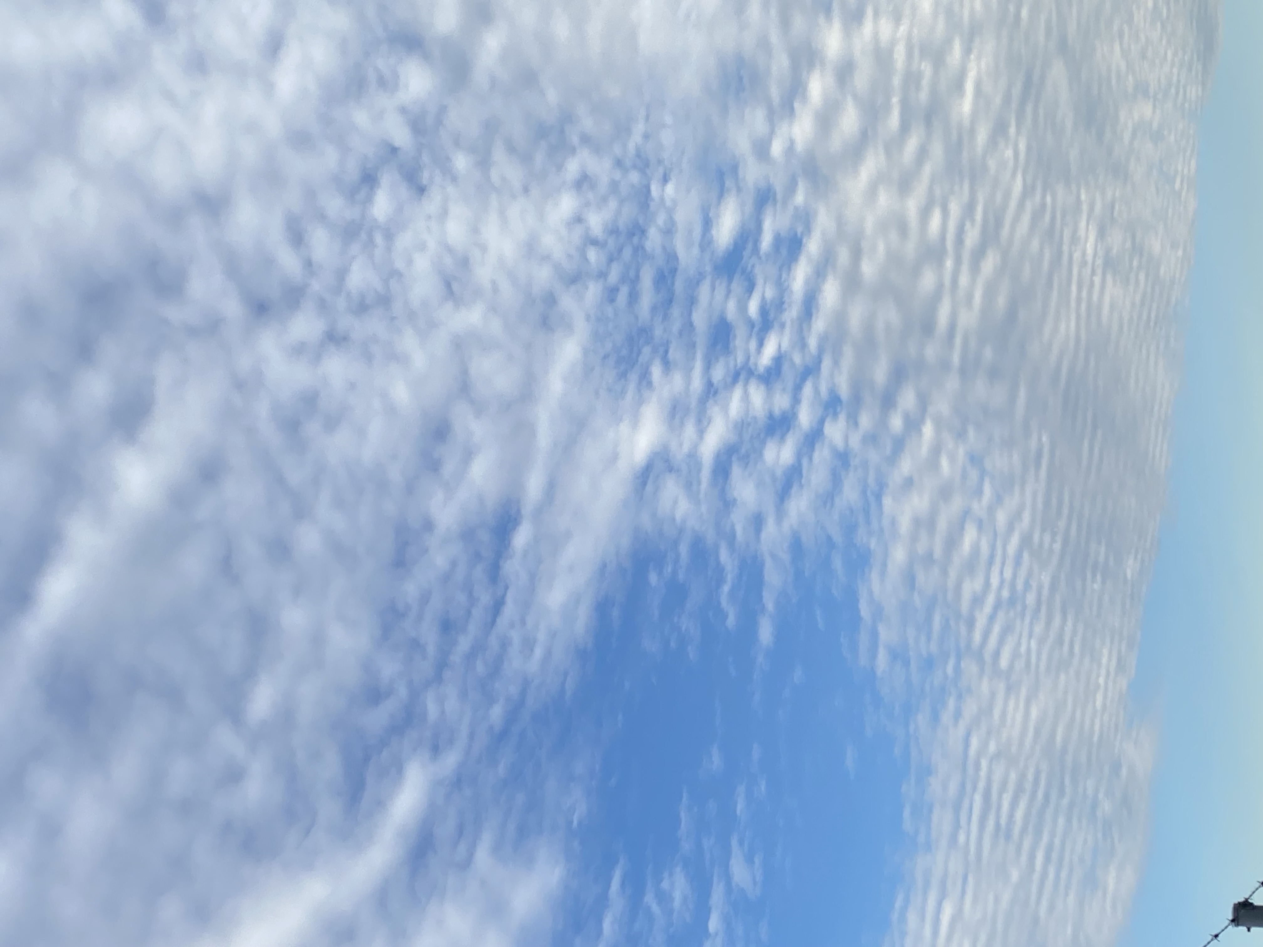 と も ち ゃ‪‪👍🏻🎀