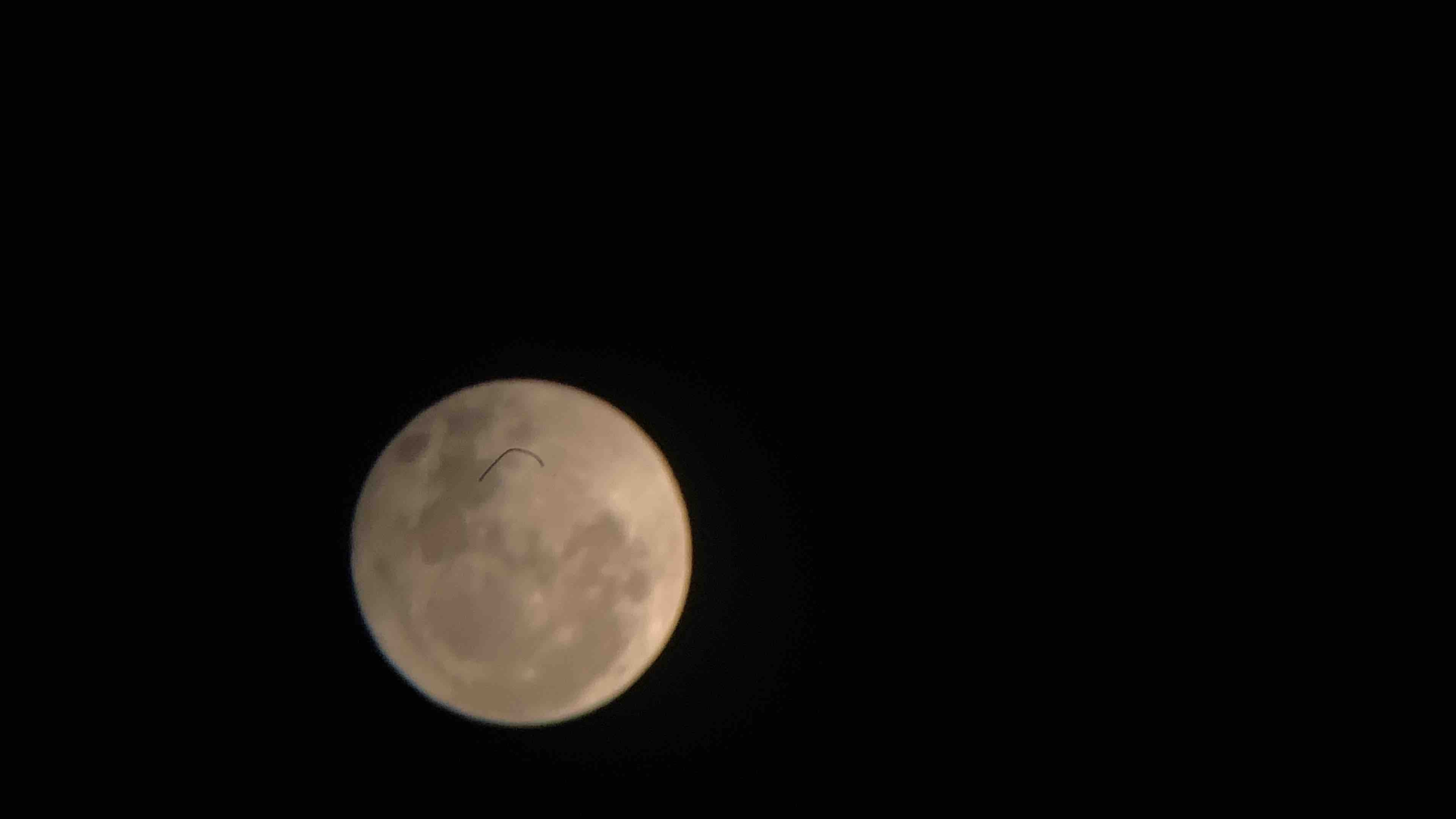 ねこねこねーこね