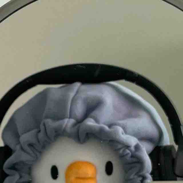 パプリカの住人