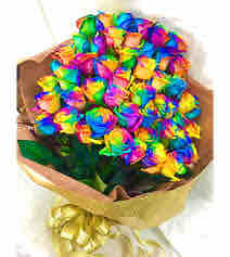 シェルターガール