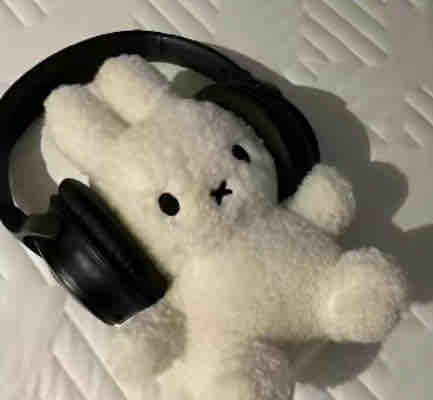  ぱんこ🕊️🍽️