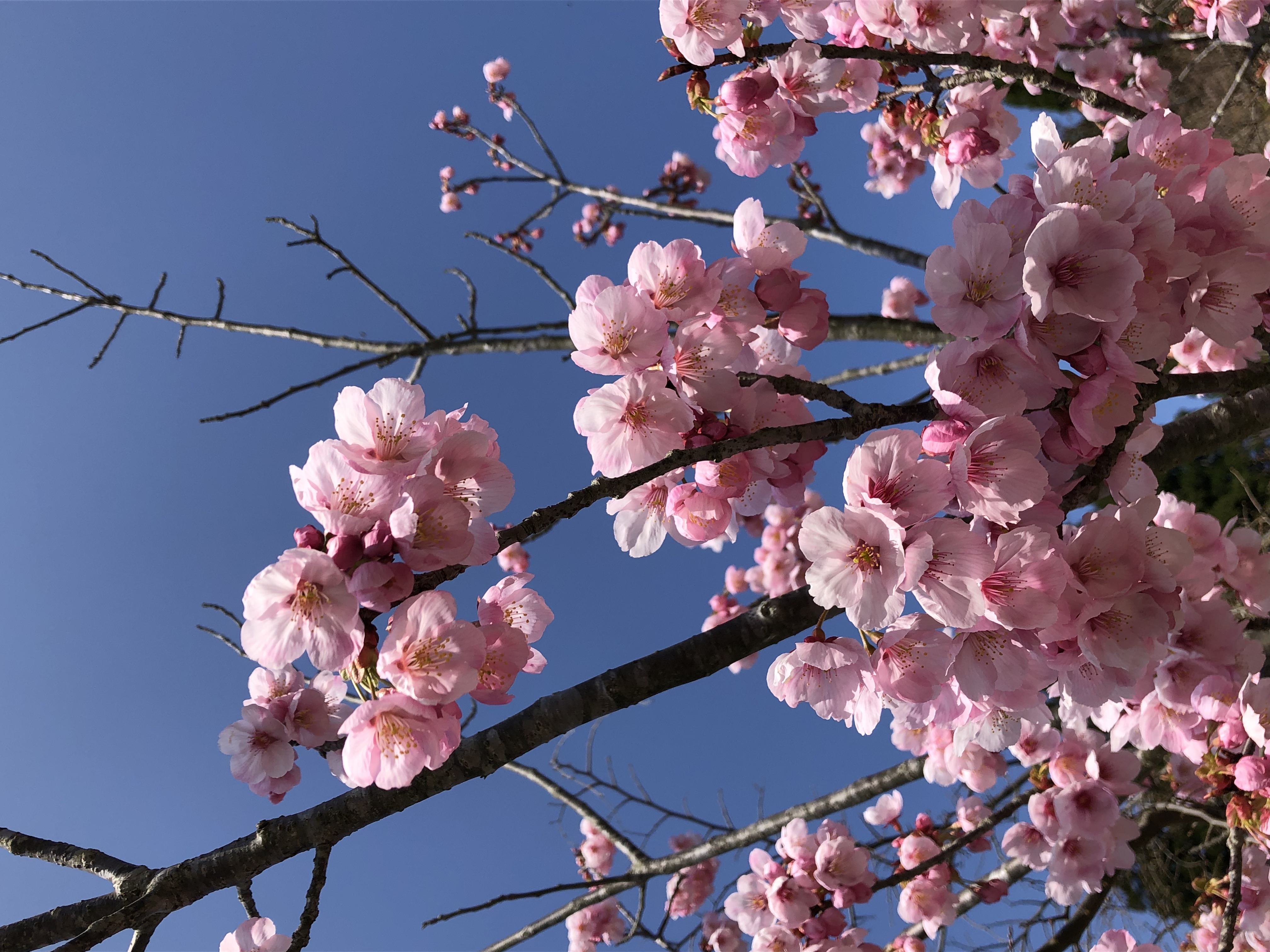 ゆりな🌧️🧸