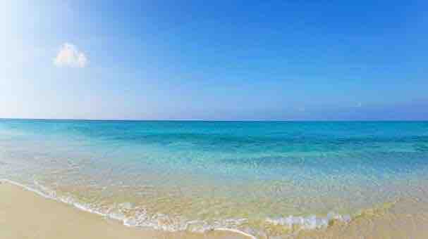 あーちゃん　@フォロバ