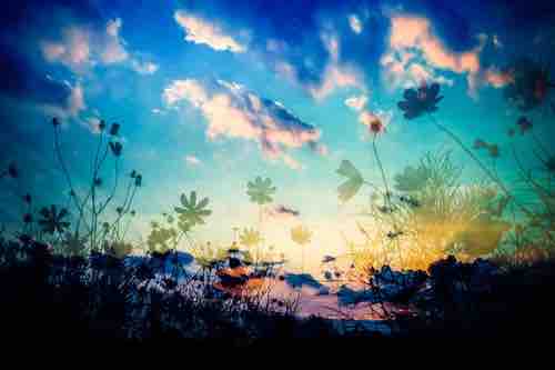 ゆうなりんごさん