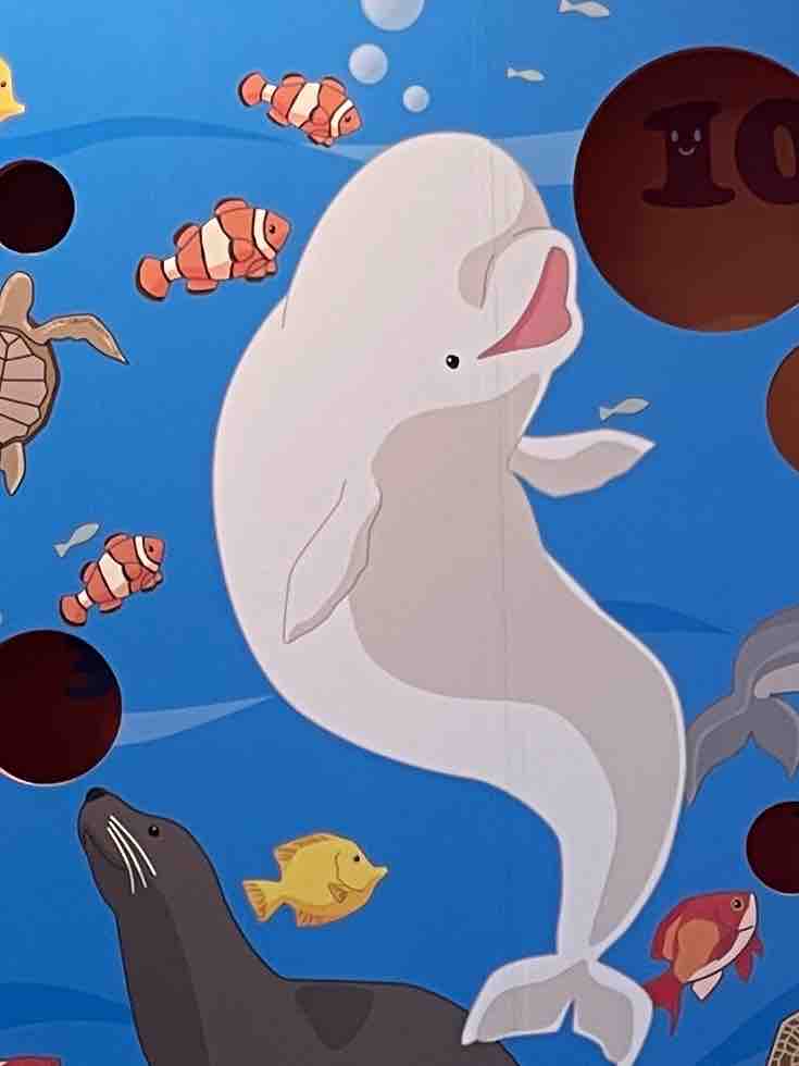 さなえでございまーす