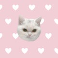 mimi