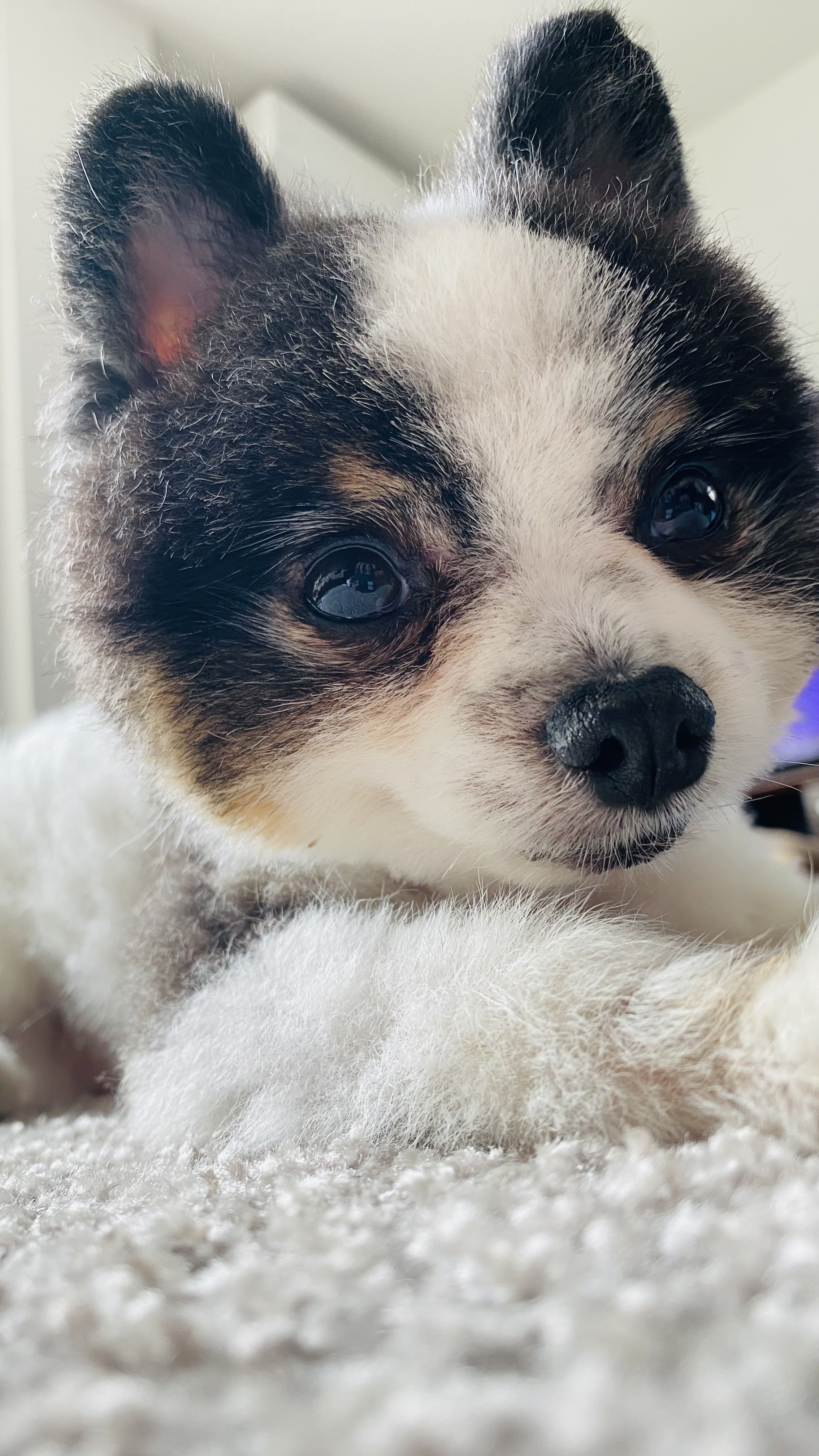 なゆ(フォロバ100%)