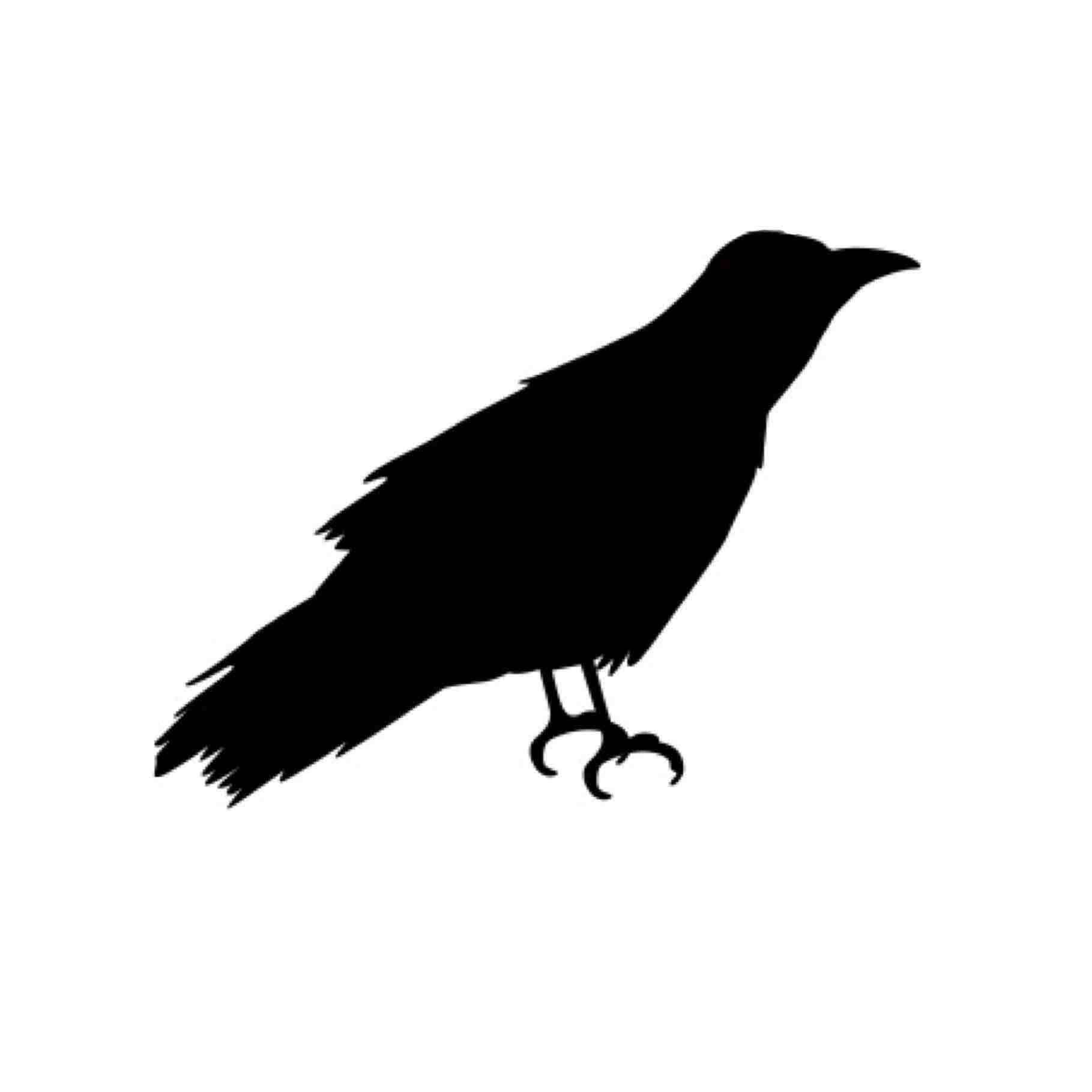 コスメを集めるからす